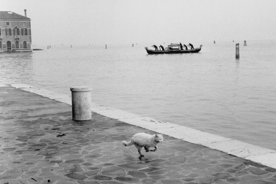 consulta AL-berengo gardin-893x595