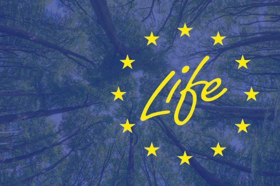 consulta AL-life info day-893x595