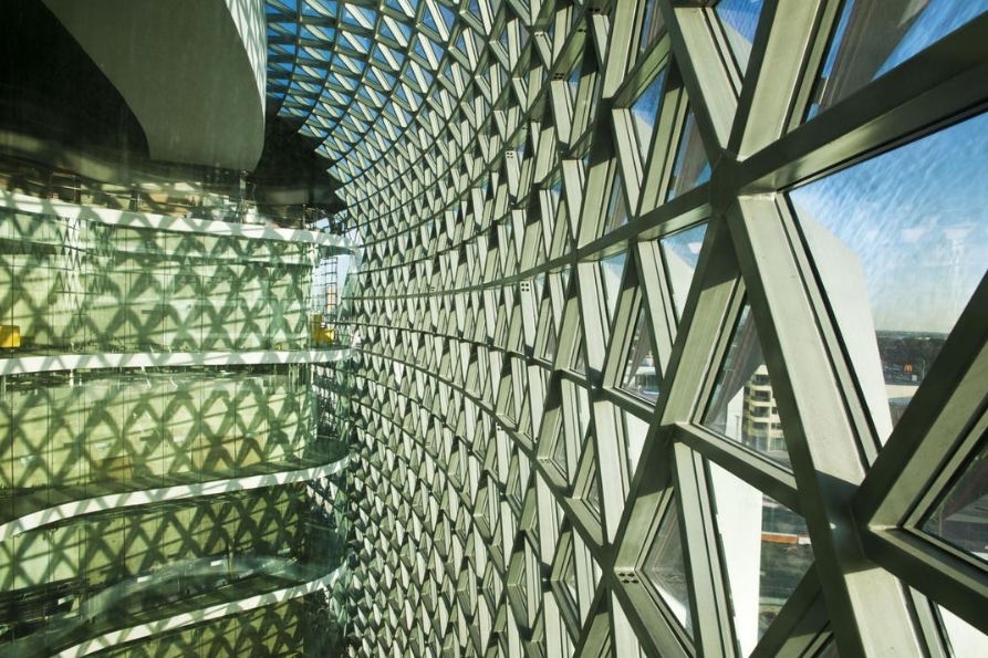 consulta AL-rhinoceros-MI-893x595