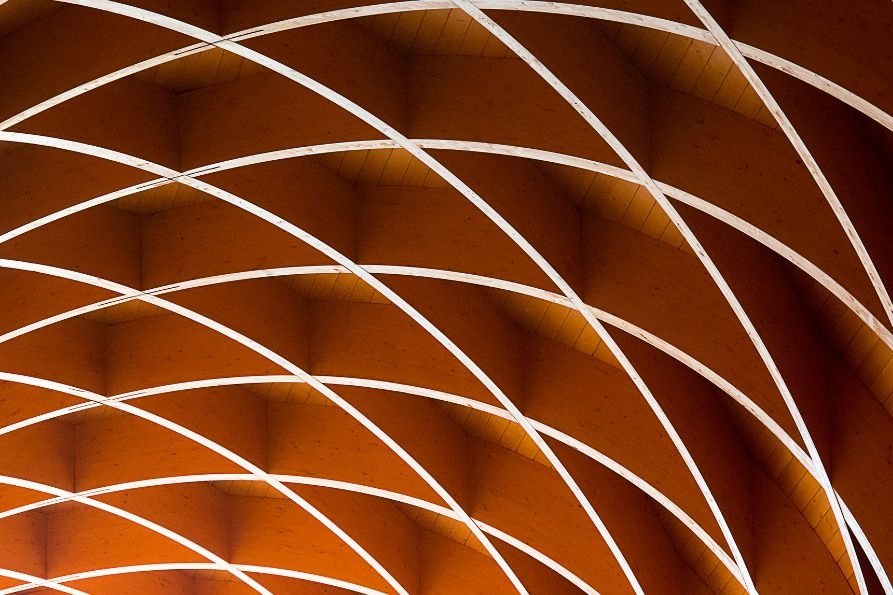 consulta AL-webinar prevenzione sismica-893x595 consulta AL-webinar prevenzione sismica-893x595