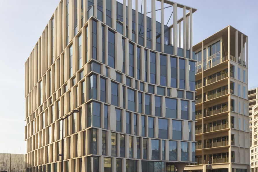 consulta AL-zucchi-SO-26-893x595