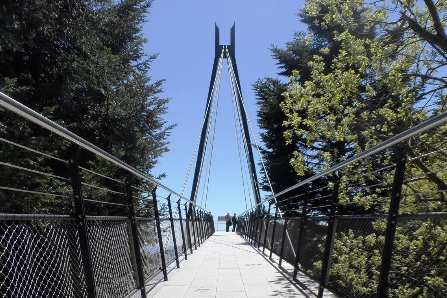 consulta AL-burgi-893x595