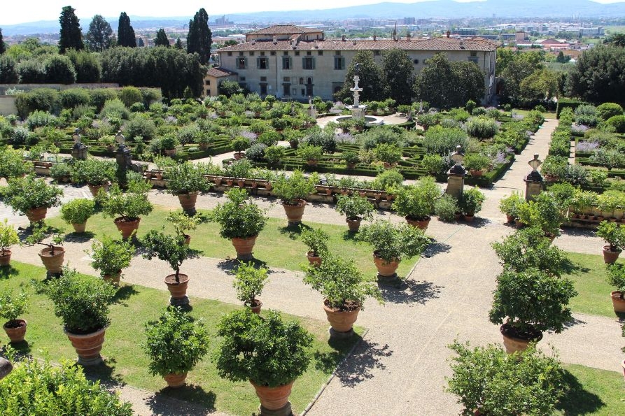 consulta AL-villa medicea castello-893x595